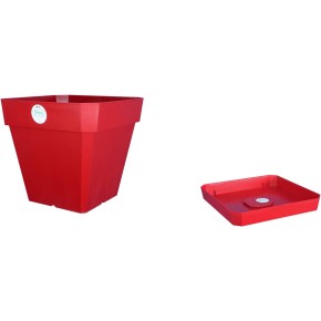 SOLEILLA CARRE 50cm
